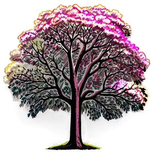 Tree Elevation B PNG Image