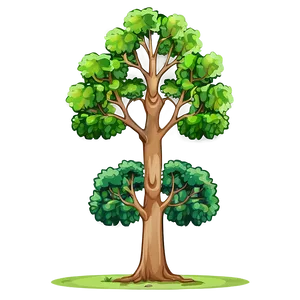 Tree Elevation Png 06262024 PNG Image