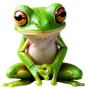 Tree Frog Png Eru PNG Image