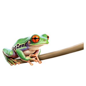 Tree Frog PNG rcf PNG