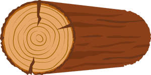 Tree Log Cross Section Illustration PNG with transparent background