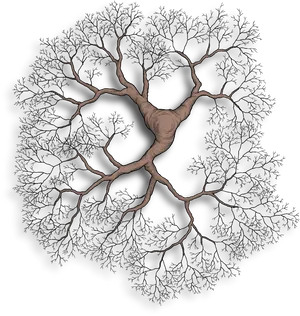 Tree_of_ Life_ Illustration PNG Image