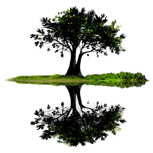 Tree Reflection PNG gra51 PNG