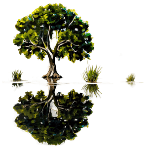 Tree Reflection PNG ptp4 PNG