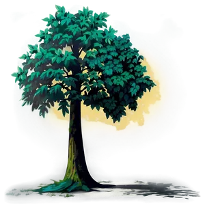 Tree Shadow D PNG Image