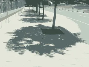 Tree Shadowon Sidewalk PNG Image