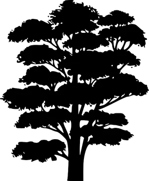 Tree Silhouette Outline.png PNG Image