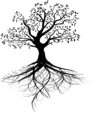 Tree Silhouettewith Visible Roots PNG Image