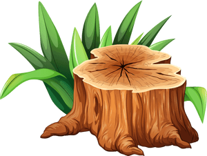 Tree Trunk Tree Stump Clipart - Tree Stump Clipart, HD Png Download PNG image with transparent background