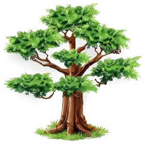 Tree Top Birds Eye View Png Qyh PNG Image