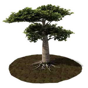 Tree Top View A PNG Image