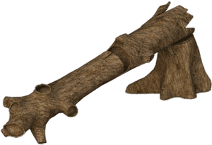 Fallen Tree Trunk - Fallen Tree No Background, HD Png Download PNG image with transparent background