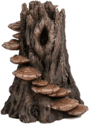 Tree Trunk With Mushroom Steps - Mushroom Steps On Tree, HD Png Download PNG image with transparent background