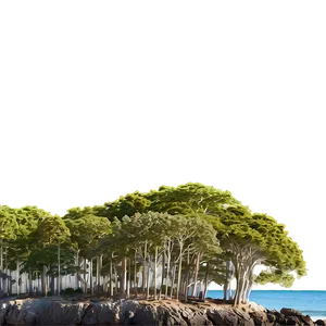 Treeline On Coastal Cliff Png 06282024 PNG Image