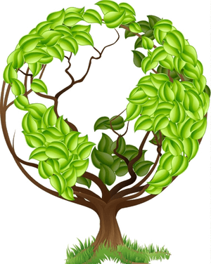 Tree_of_ Life_ Green_ Leaves PNG image with transparent background