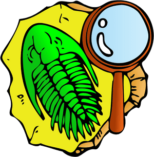 Fossil Clipart Artifact - Fossil Clip Art, HD Png Download PNG with transparent background