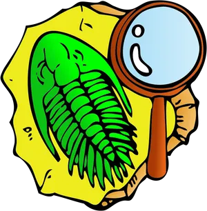 Trilobite Fossil Examination Cartoon PNG Image