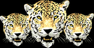 Triplet Leopard Illustration PNG image with transparent background