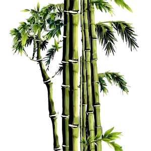 Tropical Bamboo Plants Png Vqd PNG Image