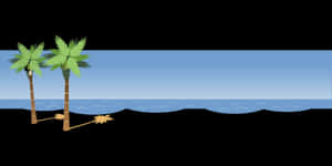 Tropical Beach Vector Illustration PNG image with transparent background