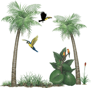 Tropical Rainforest Sticker Collection Create Your - Rainforest Png, Transparent Png PNG