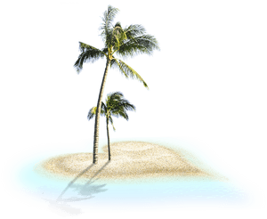 Tropical Coconut Treeson Island PNG