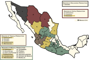 Tropical Diseases In Mexico, HD Png Download PNG image with transparent background
