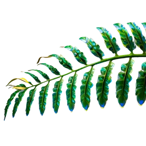 Tropical Fern Leaf Icon Png Xvk26 PNG Image