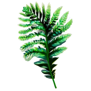 Tropical Ferns Png Pky PNG Image