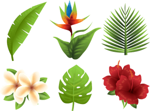 Tropics Euclidean Vector Flower - Tropical Plants Free Png, Transparent Png PNG image with transparent background