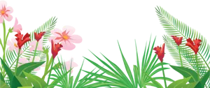 Tropical Flora Illustration PNG Image