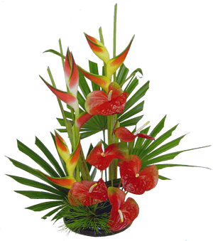 Tropical Flower Arrangements Ideas, HD Png Download PNG image with transparent background
