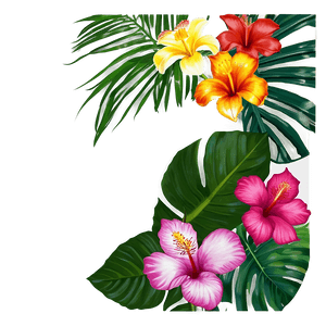 Tropical Flower Frame PNG 74 PNG image with transparent background