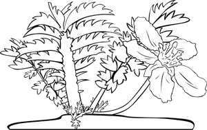 Tropical Flowerand Palm Silhouette PNG Image