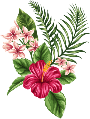 Svg Transparent Tropical Watercolor Flowers Leaves - Hibiscus Hawaiian Flower Drawing, HD Png Download PNG image with transparent background