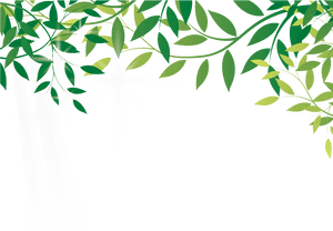 Amazon Rainforest Png File - Amazon Rainforest Transparent, Png Download PNG image with transparent background