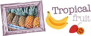 Saba Banana, HD Png Download PNG image with transparent background