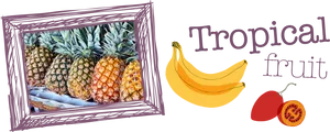 Tropical Fruit Display PNG Image