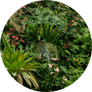 One Of The Widest Selections Of Horticultural Products - Botanical Garden, HD Png Download PNG image with transparent background