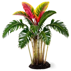 Tropical Garden Plants Png 06252024 PNG Image