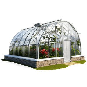 "Tropical Greenhouse Oasis PNG" chg37 PNG