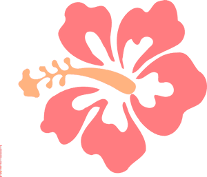 Tropical Hibiscus Flower Illustration PNG image with transparent background