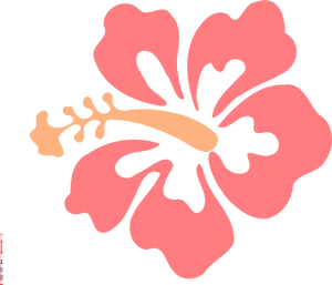 Tropical Hibiscus Flower Illustration PNG Image