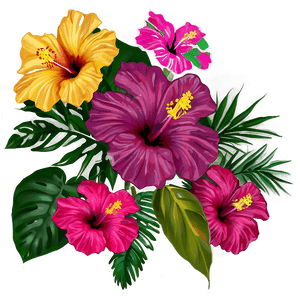 Tropical Hibiscus PNG 4 PNG image with transparent background