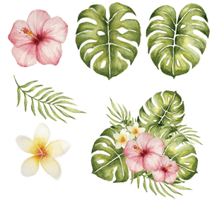 Tropical Hibiscusand Monstera Illustration PNG image with transparent background