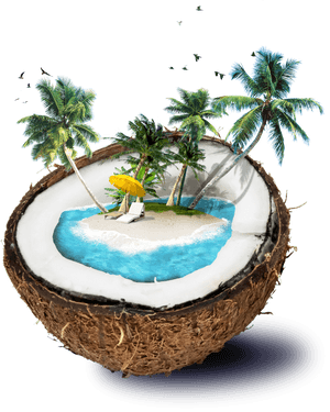 Good Morning With Coconut, HD Png Download PNG with transparent background