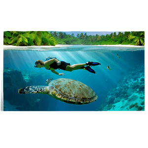 Tropical Island Diving PNG 06242024 PNG image with transparent background