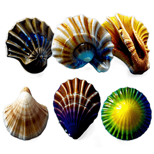 Tropical Island Seashells PNG ovw PNG