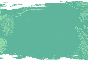 Transparent Tropical Background Png - Tropical Background, Png Download PNG image with transparent background