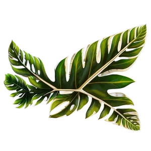 Tropical Leaf Border Png Poo PNG Image